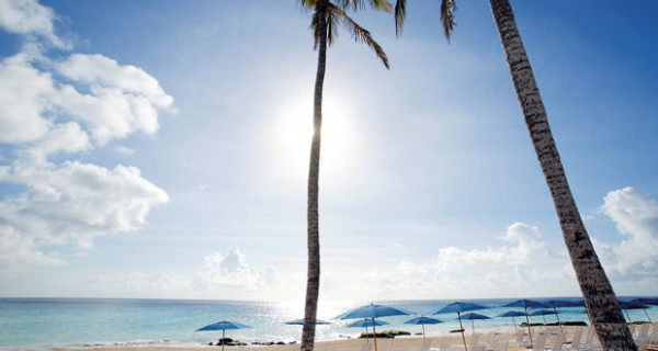 La vacanza perfetta per i bambini avventurosi: il Campo Avventura dell’Elbow Beach La vacanza perfetta per i bambini avventurosi: il Campo Avventura dell’Elbow Beach