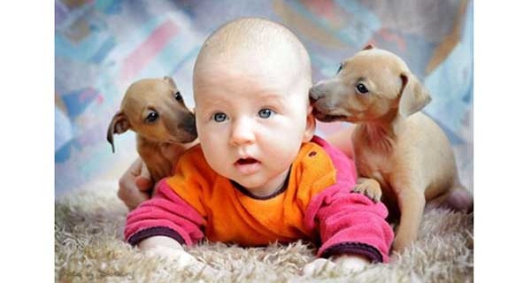 Pet Therapy: bambini e animali, una relazione importante per i più piccoli Pet Therapy: bambini e animali, una relazione importante per i più piccoli