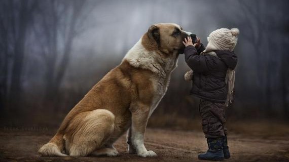 La speciale relazione tra bambini e animali fotografata da Elena Shumilova La speciale relazione tra bambini e animali fotografata da Elena Shumilova