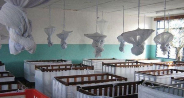 Neonate scambiate in culla: ora hanno sedici anni e sono come sorelle Neonate scambiate in culla: ora hanno sedici anni e sono come sorelle