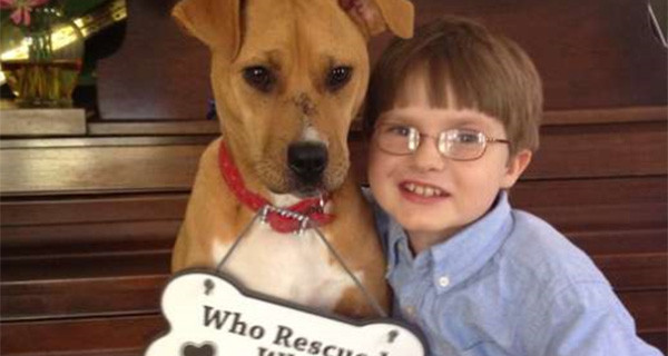 L’amicizia tra Xena e Jonny, il bimbo che vince l’autismo grazie al suo cucciolo di cane L’amicizia tra Xena e Jonny, il bimbo che vince l’autismo grazie al suo cucciolo di cane