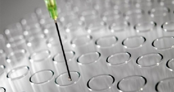 Scambio di embrioni, il caso: i genitori biologici rivogliono i loro figli Scambio di embrioni, il caso: i genitori biologici rivogliono i loro figli