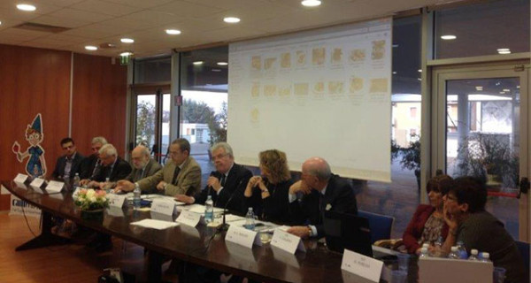 Bambini, Alimentazione e Attività Motoria: ecco come conciliare tutto Bambini, Alimentazione e Attività Motoria: ecco come conciliare tutto