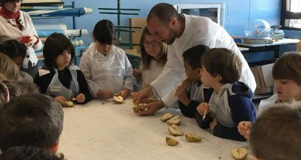 FitFoodness CAMKids, i laboratori didattici per insegnare ai bambini una corretta alimentazione FitFoodness CAMKids, i laboratori didattici per insegnare ai bambini una corretta alimentazione