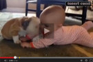 Video dolcissimo: lotta di coccole tra un bambino e un cucciolo di Bulldog