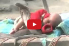 Video Shock: neonata dorme beata in mezzo a quattro cobra reali